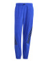 adidas Sportswear Pantaloni de trening cu croiala conica - Pled.ro