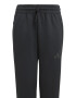 adidas Sportswear Pantaloni de trening cu snur Z.N.E - Pled.ro