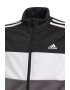 adidas Sportswear Trening cu detaliu logo Essentials - Pled.ro