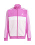 adidas Sportswear Trening cu fermoar si model colorblock Tiberio - Pled.ro