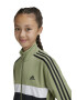 adidas Sportswear Trening cu fermoar si model colorblock Tiberio - Pled.ro