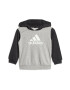 adidas Sportswear Trening cu gluga Essentials - Pled.ro