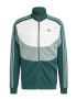 adidas Sportswear Trening cu model in doua nuante si logo - Pled.ro