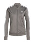 adidas Sportswear Trening uni - Pled.ro