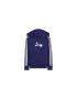 adidas Trening HOODIE SET HC4601 - Pled.ro