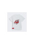 adidas Trening MICKEY AND MINNIE SHORT TEE SET HF7538 - Pled.ro