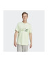 adidas Tricou M ILLUST BOS IN6243 - Pled.ro