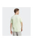 adidas Tricou M ILLUST BOS IN6243 - Pled.ro