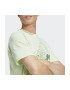 adidas Tricou M ILLUST BOS IN6243 - Pled.ro