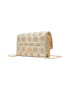 Aldo Geanta crossbody cu bareta de lant Eccentra - Pled.ro