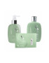 Alfaparf Milano Set anti-cadere Scalp Energizing Sampon 250 ml Tonic 125 ml Lotiune 12x10 ml - Pled.ro