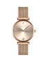 Amelia Parker Ceas quartz cu bratara cu model plasa - Pled.ro