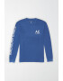 American Eagle Bluza sport cu aplicatie logo pe maneci - Pled.ro