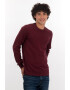 American Eagle Pulover cu decolteu rotund si broderie logo - Pled.ro