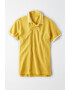 American Eagle Tricou polo cu terminatii contrastante - Pled.ro