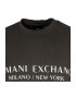 ARMANI EXCHANGE Bluza de trening cu imprimeu logo - Pled.ro