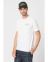 Billabong Tricou de bumbac cu imprimeu Theme Arch - Pled.ro