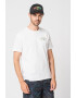 Billabong Tricou de bumbac cu imprimeu Theme Arch - Pled.ro