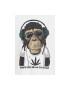 Blend of America Tricou pentru barbati Monkey - Pled.ro