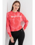 Champion Bluza sport cu model si decolteu la baza gatului - Pled.ro