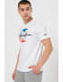 Champion Tricou din bumbac cu imprimeu logo Triple - Pled.ro