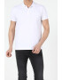 COLIN'S Tricou polo de bumbac cu model uni - Pled.ro