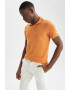 DeFacto Tricou polo slim fit - Pled.ro