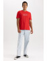 DeFacto Tricou regular fit cu imprimeu text - Pled.ro