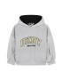 DKNY Hanorac cu maneci cazute si broderie logo - Pled.ro