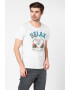 EDC by Esprit Tricou din bumbac cu imprimeu - Pled.ro