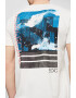 EDC by Esprit Tricou din bumbac cu imprimeu grafic pe partea din spate - Pled.ro