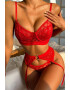 EFAYN.RO Lenjerie sexy dama set 3 piese sutien portjartier si chilot tanga model cu romburi EFAYN - Pled.ro