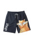 EFAYN.RO Pantaloni scurti de baie tip sort barbati model super cat imprimeu pisica nebuna uscare rapida EFAYN - Pled.ro