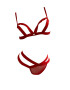 EFAYN.RO Set lenjerie sexy 2 piese sutien si chilot tanga EFAYN RO - Pled.ro