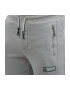 Emporio Armani EA7 Pantaloni trening Natural Ventus7 M Pants CH BR 6RPP66PJRCZ01920 - Pled.ro