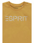 Esprit Tricou cu decolteu la baza gatului si imprimeu logo - Pled.ro