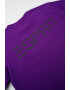 Esprit Tricou din bumbac cu imprimeu logo - Pled.ro