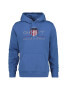 Gant Hanorac regular fit cu logo supradimensionat Archive Shield - Pled.ro