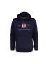 Gant Hanorac regular fit cu logo supradimensionat Archive Shield - Pled.ro