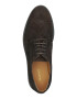 Gant Pantofi brogue de piele intoarsa - Pled.ro