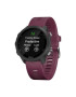 Garmin Ceas smartwatch Forerunner 245 GPS - Pled.ro