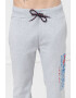 Geographical Norway Pantaloni regular fit de trening cu logo Moffroy - Pled.ro