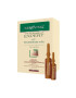 Gerovital Kit regenerare par Tratament Expert fiole 10 buc x 5 ml + 10 buc x 10 ml - Pled.ro