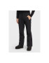 Head Pantaloni pentru ski barbati 300981535 Poliester - Pled.ro