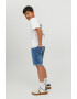 Jack & Jones Blugi scurti regular fit - Pled.ro