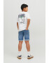 Jack & Jones Blugi scurti regular fit - Pled.ro