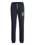 Jack & Jones Pantaloni sport cu talie ajustabila - Pled.ro