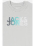 Jack & Jones Tricou cu decolteu la baza gatului si logo Shady - Pled.ro