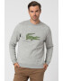 Lacoste Bluza sport cu logo brodat supradimensionat - Pled.ro