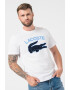 Lacoste Tricou de bumbac cu logo supradimensionat - Pled.ro